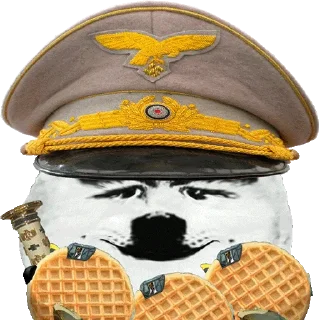 🐶