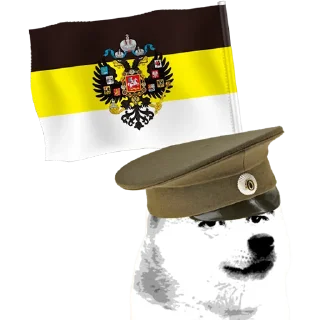🐶