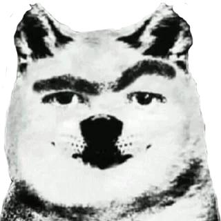 🐶