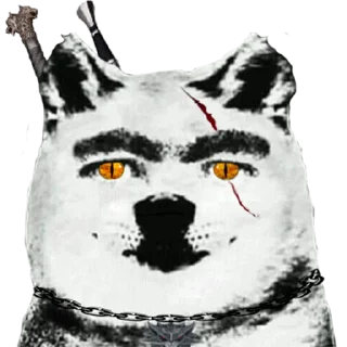 🐶