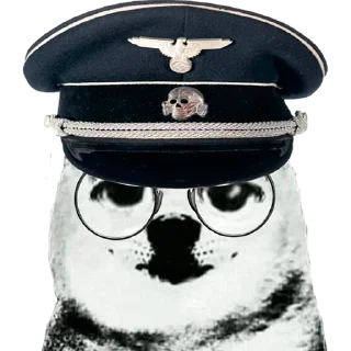 🐶