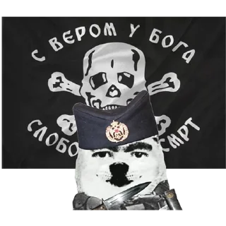 🐶