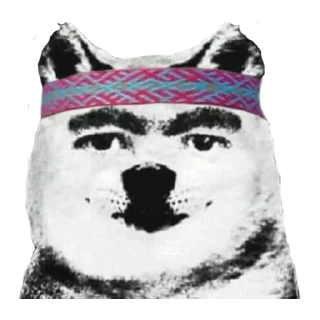 🐶