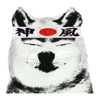 🐶