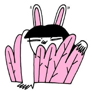 🐰