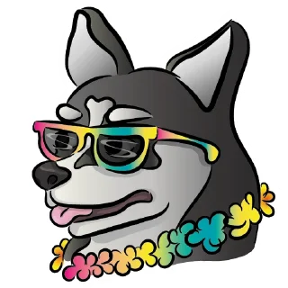 😎