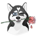 🌹