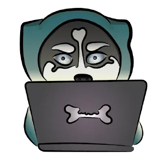 💻