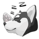 😴