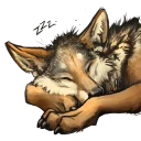 💤