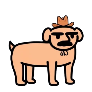 🐶