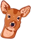 🦌