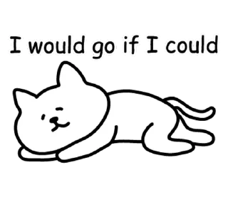 🐯