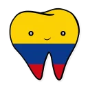 🇨🇴