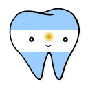 🇦🇷