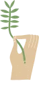 🌱