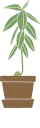 🌿