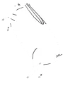 🐇