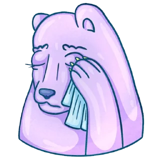 😿