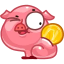 🐷
