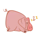 😴