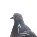 ☝