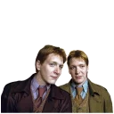 👬