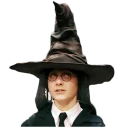 🎩
