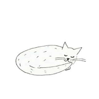 💤