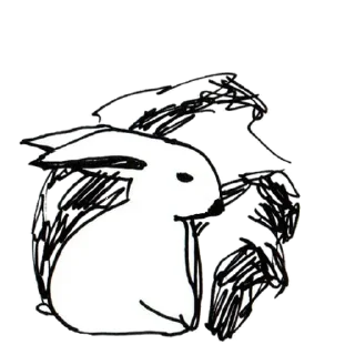 🐰