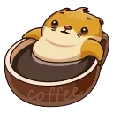 ☕️