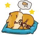 😴
