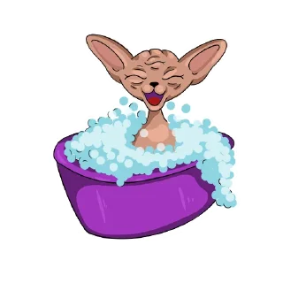 🚿