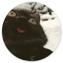 😃