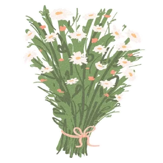 🌼