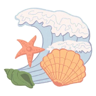🐚