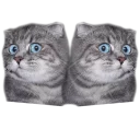 😱