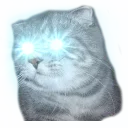 ☠