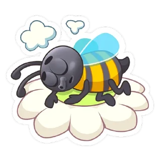 💤