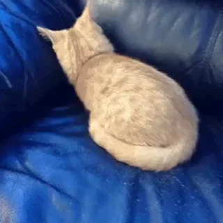👀