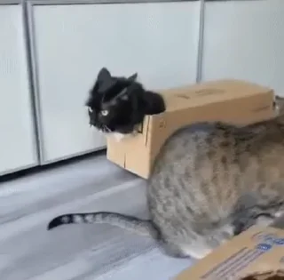 📦