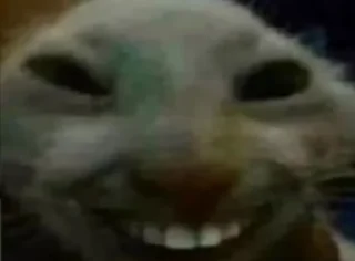 😂