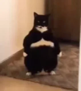 😍