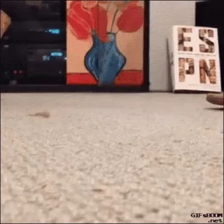 😼