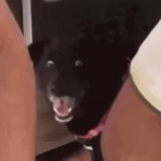 🥵