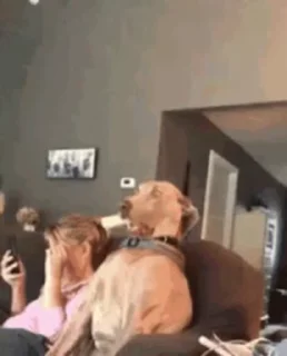 😧