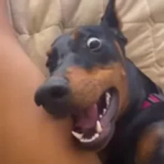 😨