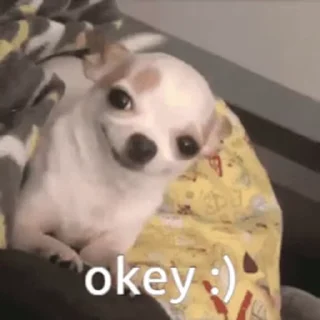 😉