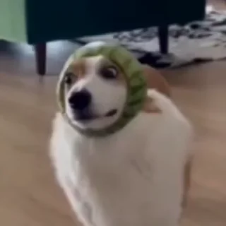 👀
