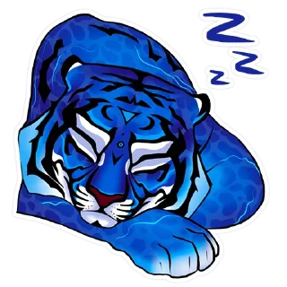 😴